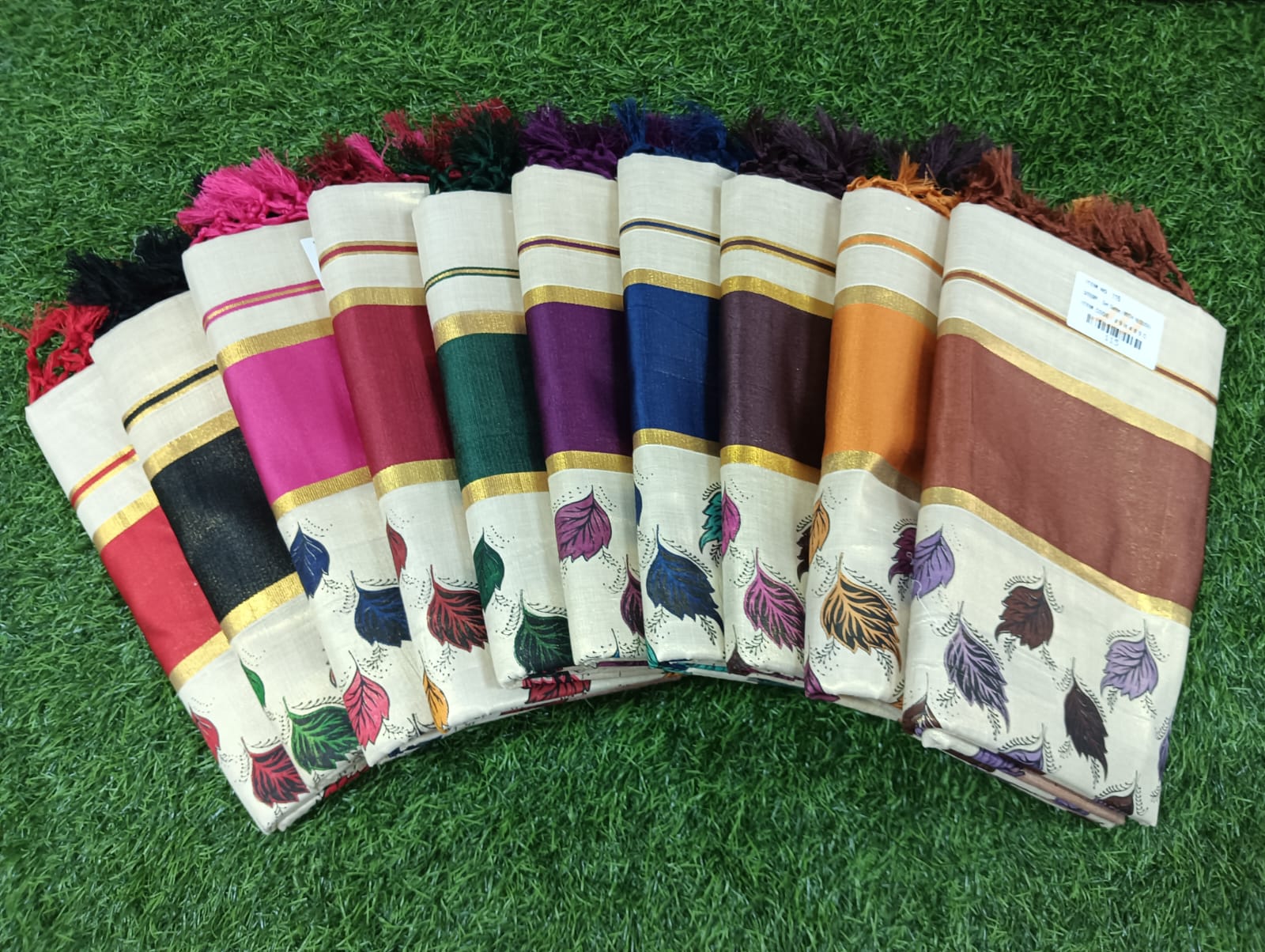 Colour Border Tissue Mural Leaf Print Saree