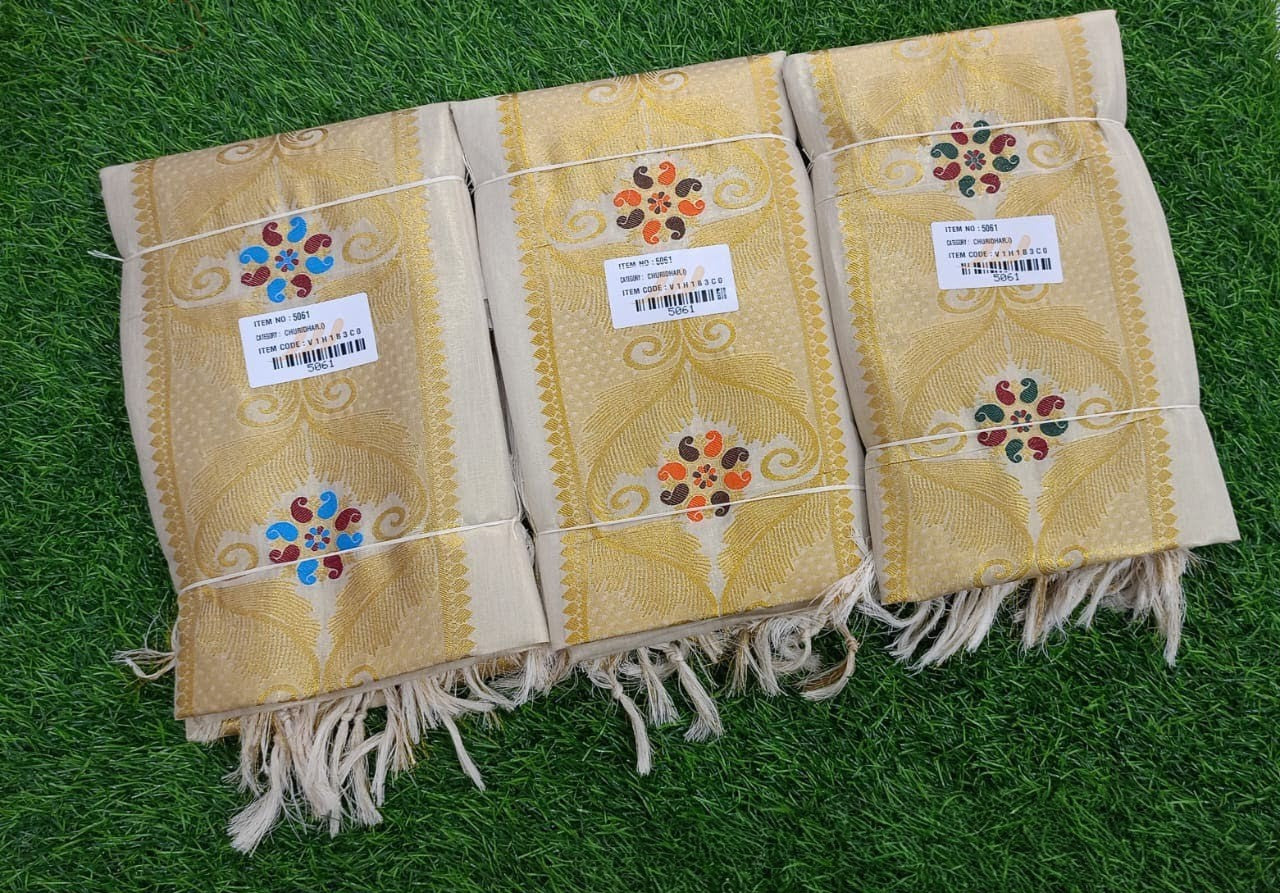 Tissue Central Panel Churidhar Set